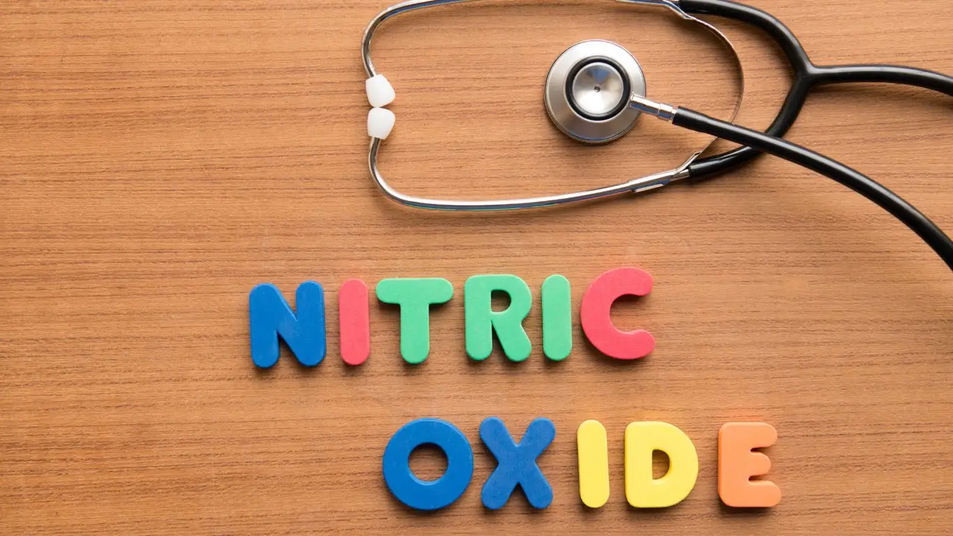 Function of Nitric Oxide